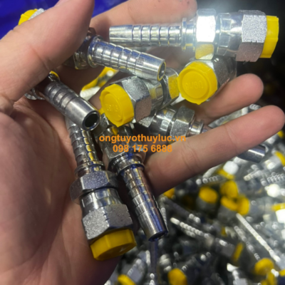 Đầu cút số Mỹ